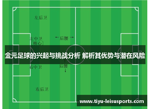 金元足球的兴起与挑战分析 解析其优势与潜在风险